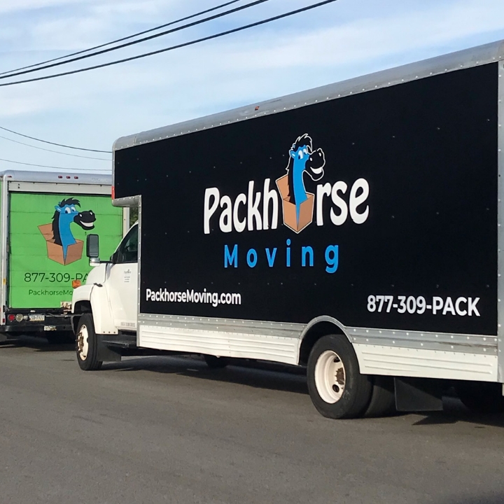 Packhorse Moving story image